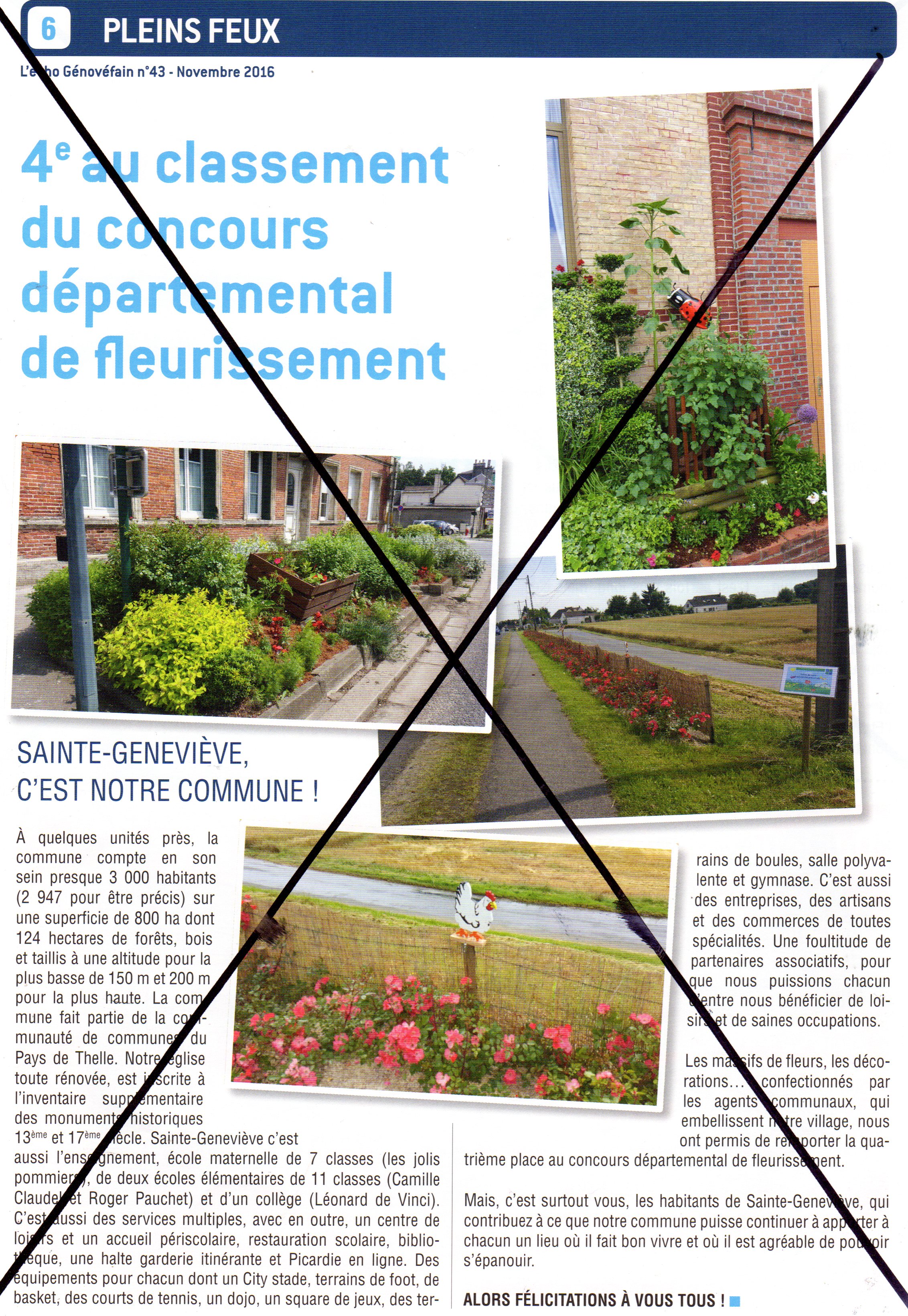 1611-egpetitesfleurs